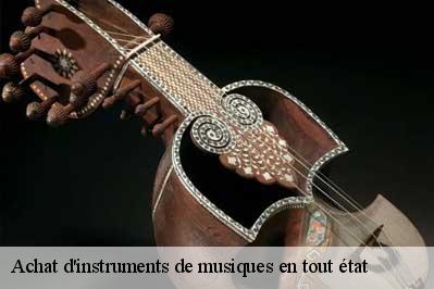 Achat d'instruments de musiques en tout état Val-de-Marne 