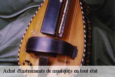 Achat d'instruments de musiques en tout état Val-de-Marne 