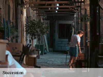 Succession 94120